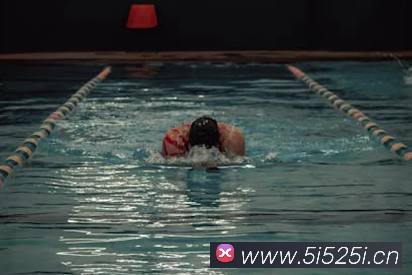 星空体育在线登录官网发展历程